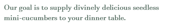 Our goal is to supply divinely delicious seedless mini-cucumbers to your dinner table.
