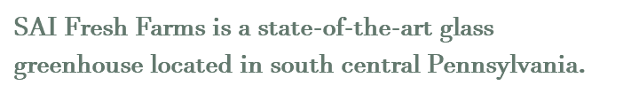 SAI Fresh Farms is a state-of-the-art glass greenhouse located in south central Pennsylvania.
